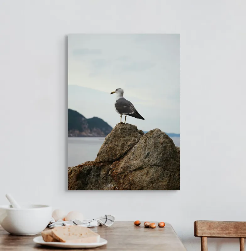 Tablou Canvas, "Pescăruș pe stâncă la malul mării", Pescăruș, Stâncă, Cer, Mare, Nor, Liniște, Natură, 50 x 70 cm – poza 3