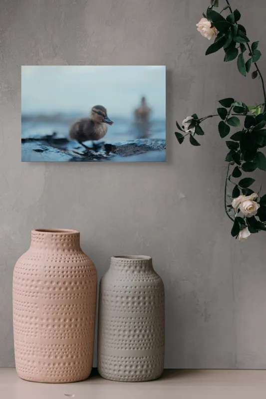 Tablou Canvas, "Rățușca pe malul lacului într-o dimineață", Pufos, Gingaș, Mic, Pui, Apă, Albastră, Reflexii, Natură, 39 x 26 cm – poza 4