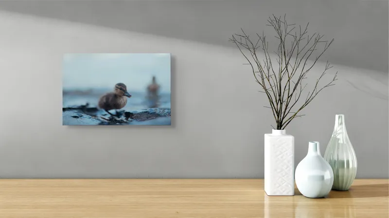 Tablou Canvas, "Rățușca pe malul lacului într-o dimineață", Pufos, Gingaș, Mic, Pui, Apă, Albastră, Reflexii, Natură, 39 x 26 cm – poza 8