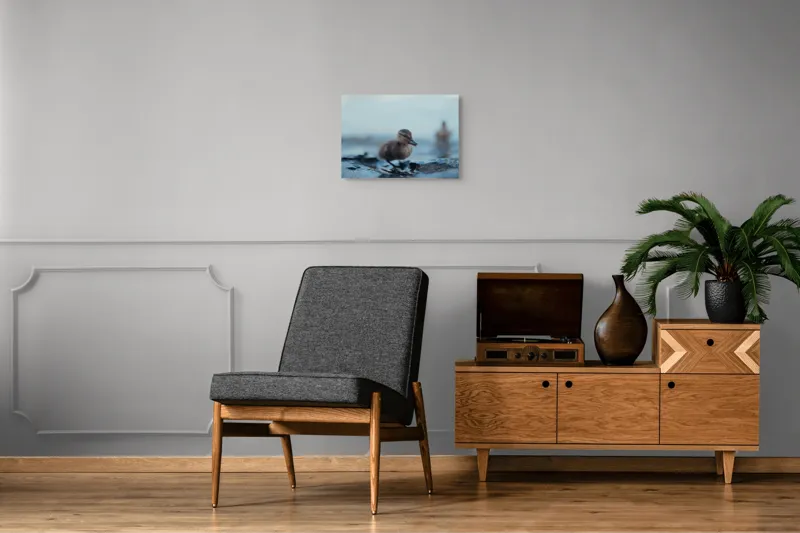 Tablou Canvas, "Rățușca pe malul lacului într-o dimineață", Pufos, Gingaș, Mic, Pui, Apă, Albastră, Reflexii, Natură, 54 x 39 cm – poza 7
