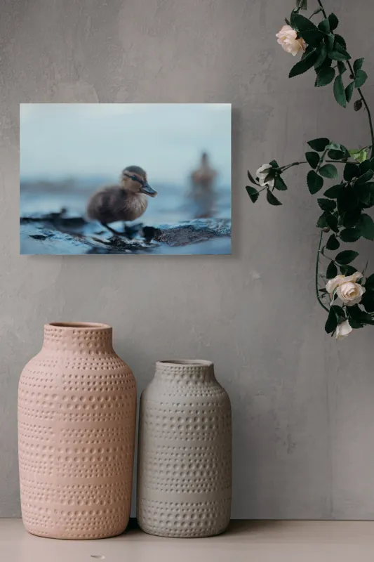 Tablou Canvas, "Rățușca pe malul lacului într-o dimineață", Pufos, Gingaș, Mic, Pui, Apă, Albastră, Reflexii, Natură, 54 x 39 cm – poza 8