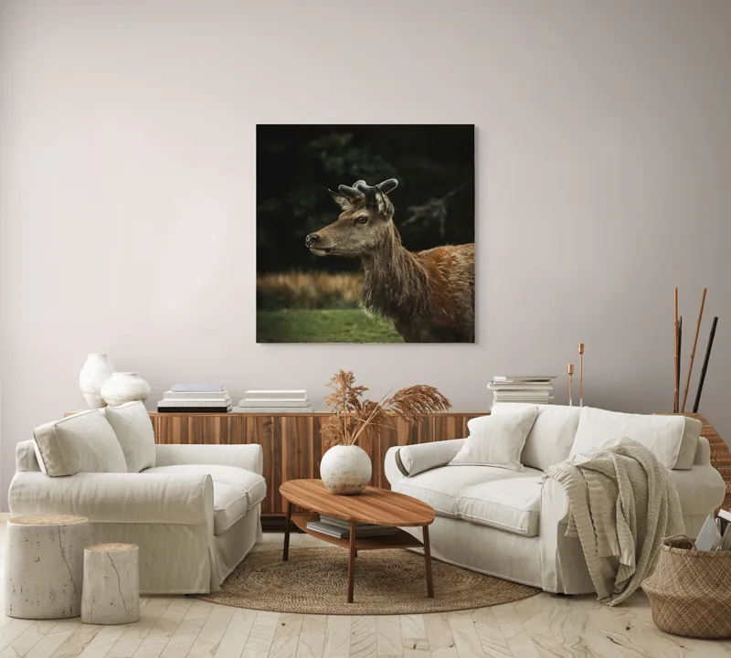 Tablou Canvas, "Cerbul în lumina pădurii misterioase", Nu știu cine este în imagine, dar pot să descriu imaginea: Cerb, Natură, Blană, Animale, Pădure, Verde, Corn, Grație, Vegetație., 100 x 100 cm – poza 3