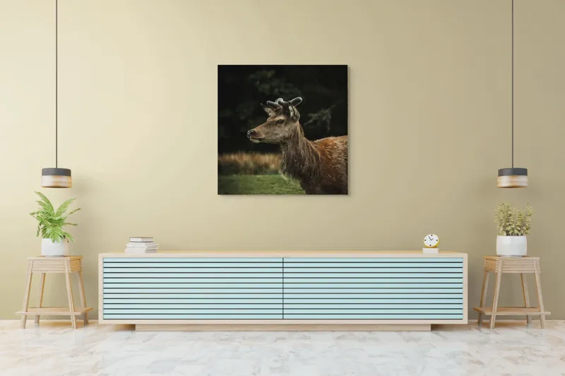 Tablou Canvas, "Cerbul în lumina pădurii misterioase", Nu știu cine este în imagine, dar pot să descriu imaginea: Cerb, Natură, Blană, Animale, Pădure, Verde, Corn, Grație, Vegetație., 100 x 100 cm – poza 5