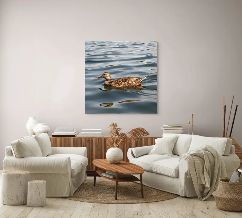 Tablou Canvas, "Rață plutind pe lac liniștit", Rață, Apă, Înot, Oglindire, Natură, Liniște, Valuri, Culoare, Pene, Reflexie, 100 x 100 cm – poza 3
