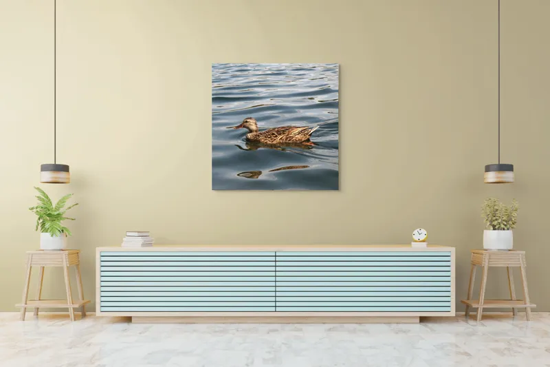 Tablou Canvas, "Rață plutind pe lac liniștit", Rață, Apă, Înot, Oglindire, Natură, Liniște, Valuri, Culoare, Pene, Reflexie, 100 x 100 cm – poza 5