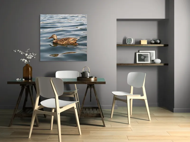 Tablou Canvas, "Rață plutind pe lac liniștit", Rață, Apă, Înot, Oglindire, Natură, Liniște, Valuri, Culoare, Pene, Reflexie, 100 x 100 cm – poza 6