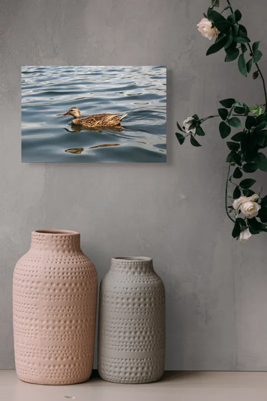 Tablou Canvas, "Rață plutind pe lac liniștit", Rață, Apă, Înot, Oglindire, Natură, Liniște, Valuri, Culoare, Pene, Reflexie, 39 x 26 cm – poza 4