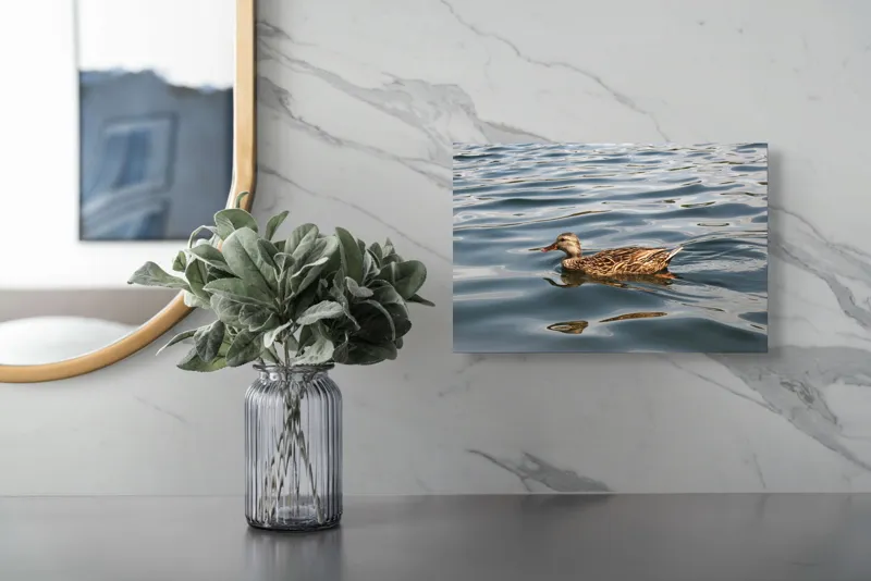 Tablou Canvas, "Rață plutind pe lac liniștit", Rață, Apă, Înot, Oglindire, Natură, Liniște, Valuri, Culoare, Pene, Reflexie, 39 x 26 cm – poza 5