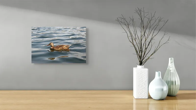 Tablou Canvas, "Rață plutind pe lac liniștit", Rață, Apă, Înot, Oglindire, Natură, Liniște, Valuri, Culoare, Pene, Reflexie, 39 x 26 cm – poza 8