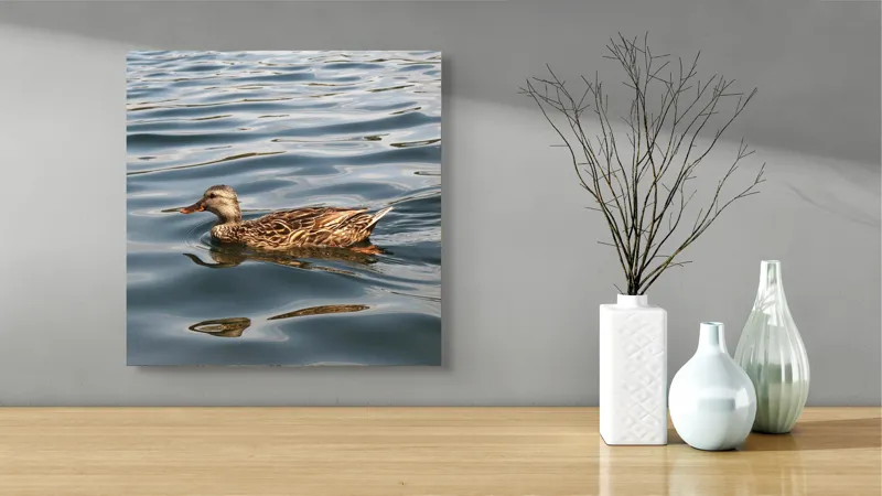 Tablou Canvas, "Rață plutind pe lac liniștit", Rață, Apă, Înot, Oglindire, Natură, Liniște, Valuri, Culoare, Pene, Reflexie, 50 x 50 cm – poza 3