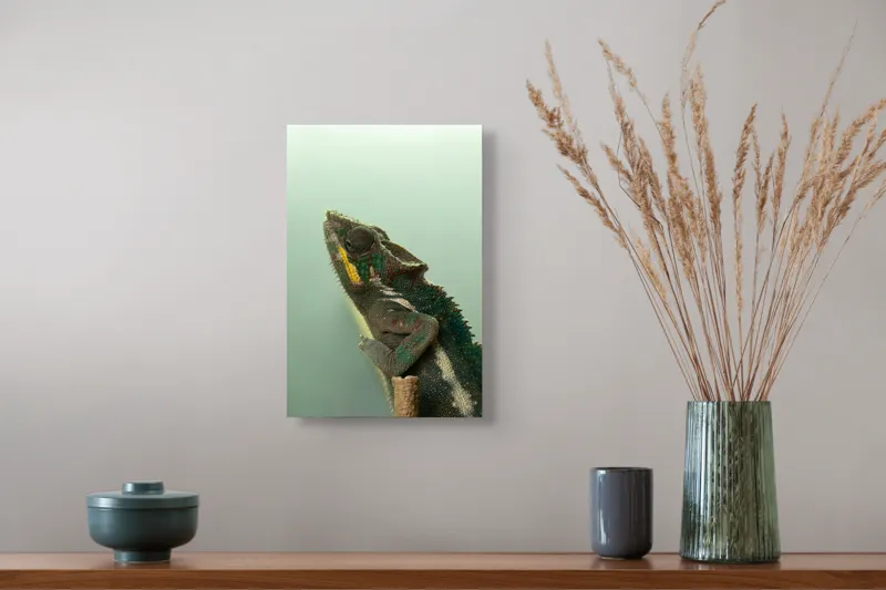 Tablou Canvas, "Cameleonul în așteptarea schimbării culorii", Cameleon, Verde, Colorat, Texturi, Solzi, Calm, Observator, Linie, 26 x 39 cm – poza 5