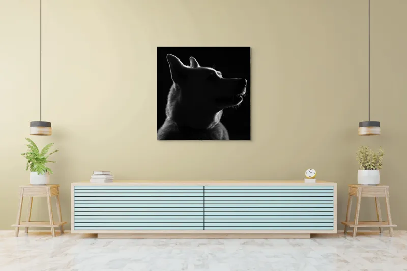 Tablou Canvas, "Siluetă canină în lumină misterioasă", 100 x 100 cm – poza 5