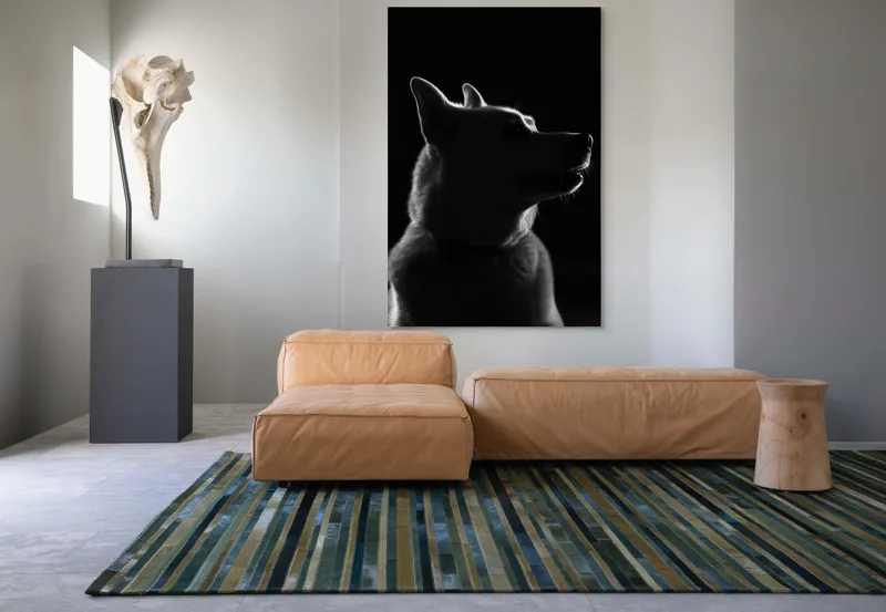 Tablou Canvas, "Siluetă canină în lumină misterioasă", Îmi pare rău, nu pot să ajut cu identificarea persoanelor sau a animalelor din imagini. Poți să descrii ce vezi sau să cauți mai multe informații despre imagine., 100 x 150 cm – poza 7