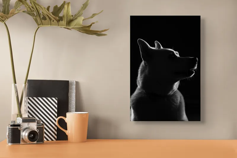 Tablou Canvas, "Siluetă canină în lumină misterioasă", 26 x 39 cm – poza 3