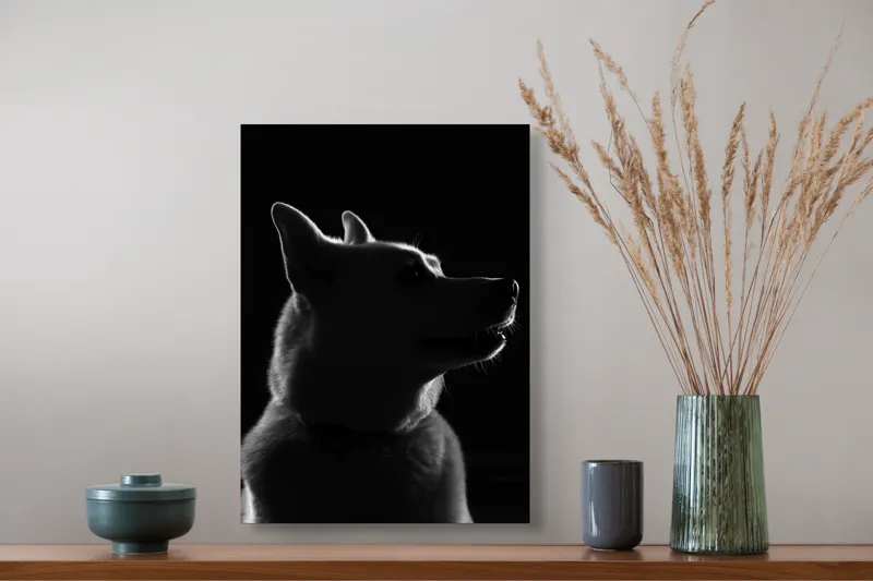 Tablou Canvas, "Siluetă canină în lumină misterioasă", 39 x 54 cm – poza 3