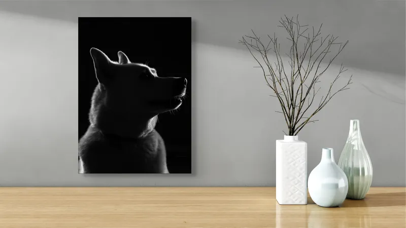Tablou Canvas, "Siluetă canină în lumină misterioasă", 39 x 54 cm – poza 4