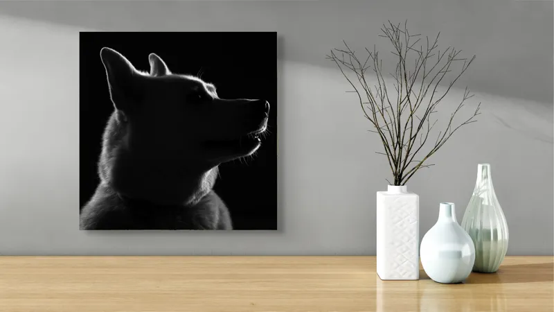 Tablou Canvas, "Siluetă canină în lumină misterioasă", 50 x 50 cm – poza 3