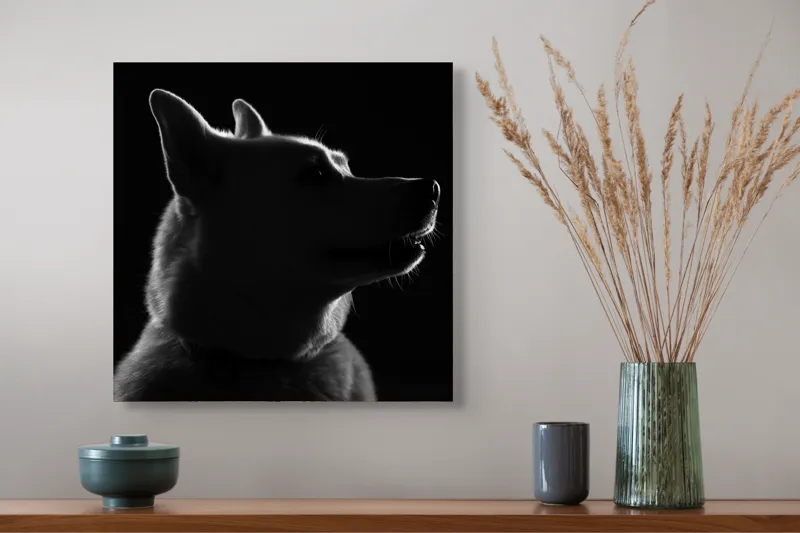 Tablou Canvas, "Siluetă canină în lumină misterioasă", 50 x 50 cm – poza 4