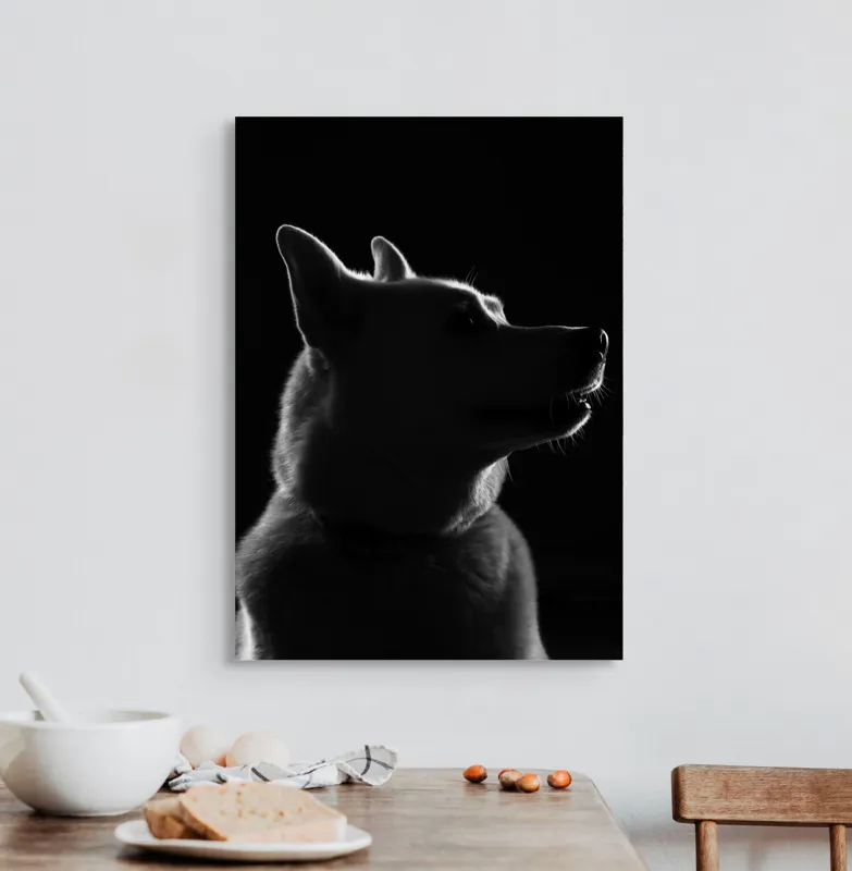 Tablou Canvas, "Siluetă canină în lumină misterioasă", 50 x 70 cm – poza 3