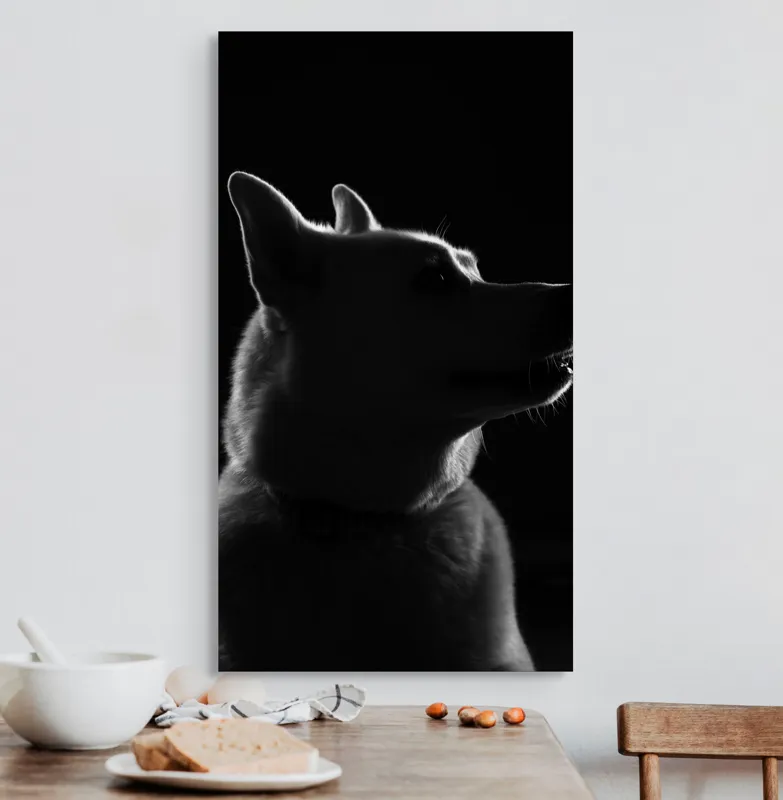 Tablou Canvas, "Siluetă canină în lumină misterioasă", 50 x 90 cm – poza 3