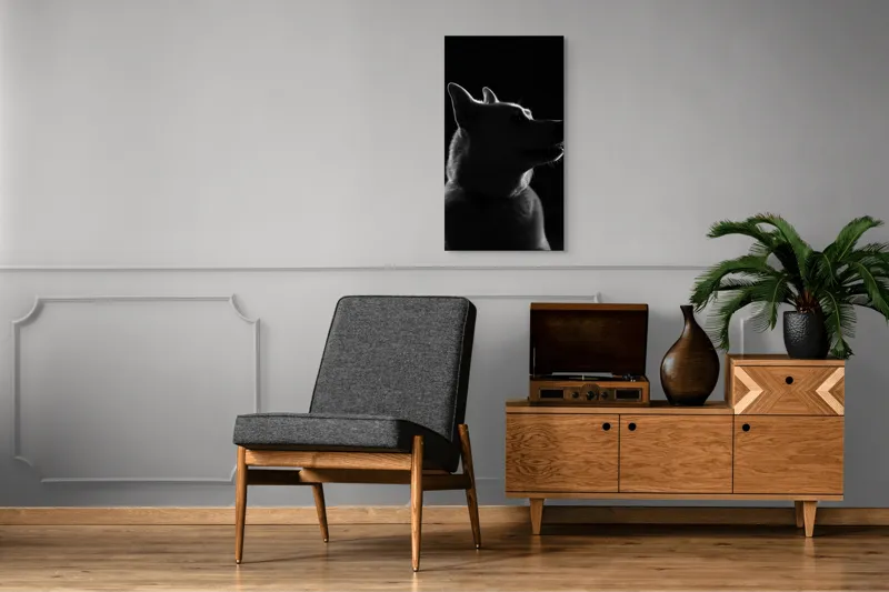 Tablou Canvas, "Siluetă canină în lumină misterioasă", 50 x 90 cm – poza 8