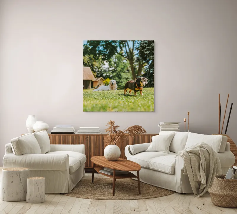 Tablou Canvas, "Câini jucându-se în grădina soarelui", 100 x 100 cm – poza 3