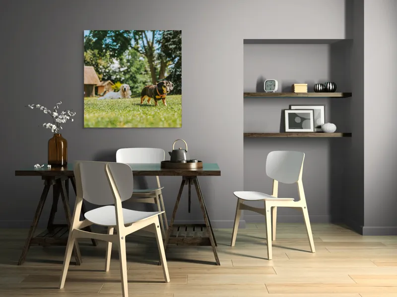 Tablou Canvas, "Câini jucându-se în grădina soarelui", 100 x 100 cm – poza 6