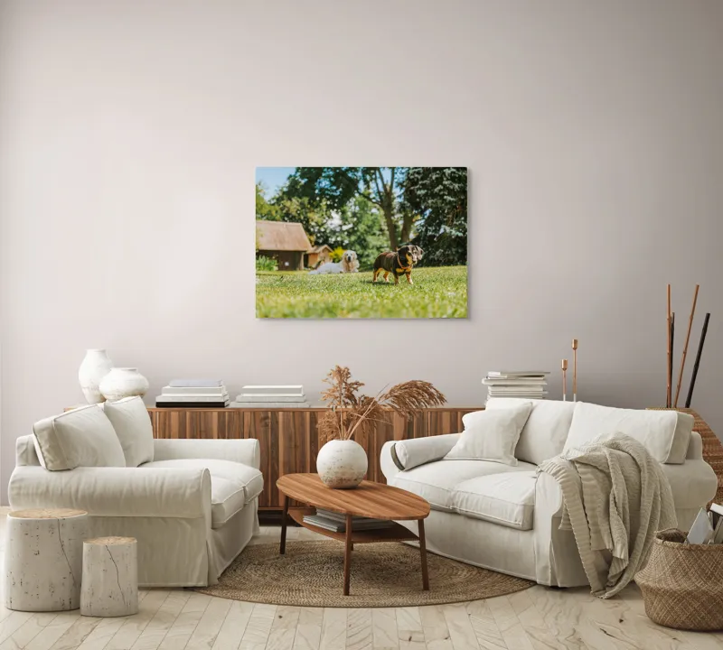 Tablou Canvas, "Câini jucându-se în grădina soarelui", 100 x 70 cm – poza 3
