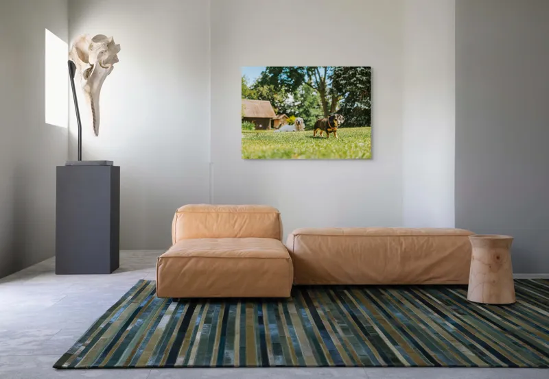Tablou Canvas, "Câini jucându-se în grădina soarelui", 100 x 70 cm – poza 7