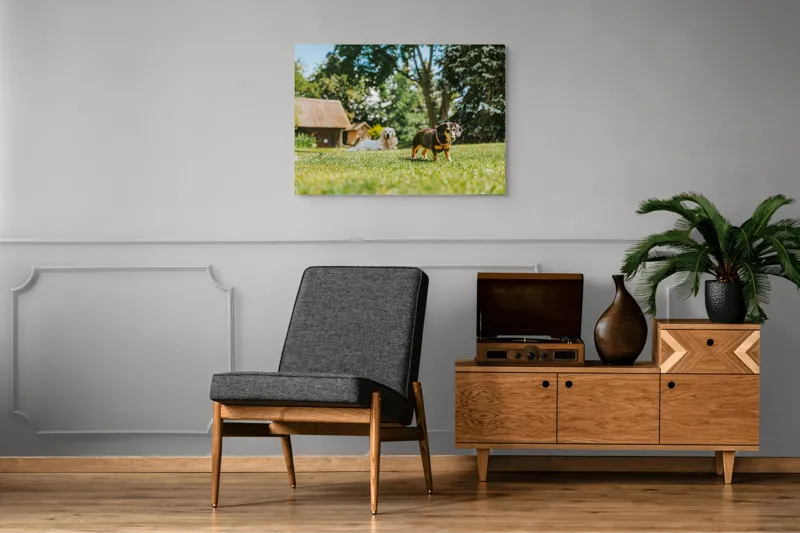 Tablou Canvas, "Câini jucându-se în grădina soarelui", 100 x 70 cm – poza 8
