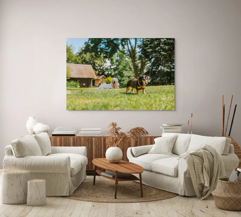 Tablou Canvas, "Câini jucându-se în grădina soarelui", 150 x 100 cm – poza 3