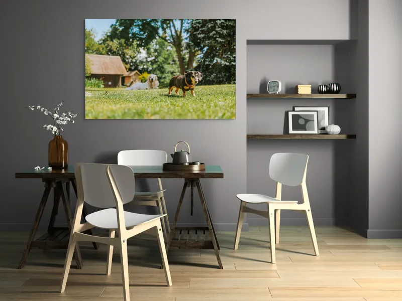 Tablou Canvas, "Câini jucându-se în grădina soarelui", 150 x 100 cm – poza 5
