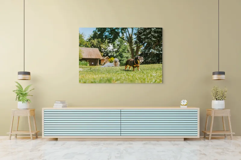 Tablou Canvas, "Câini jucându-se în grădina soarelui", 150 x 100 cm – poza 6