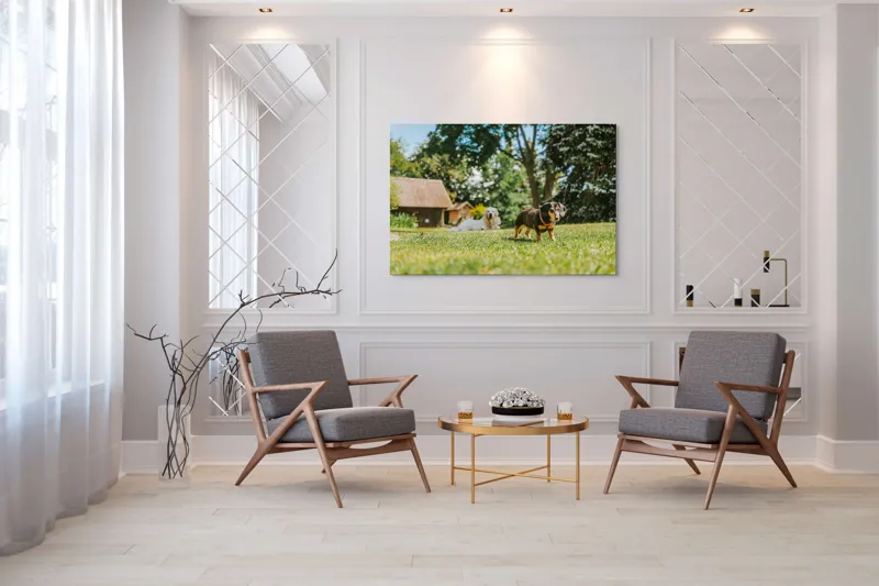 Tablou Canvas, "Câini jucându-se în grădina soarelui", 150 x 100 cm – poza 7