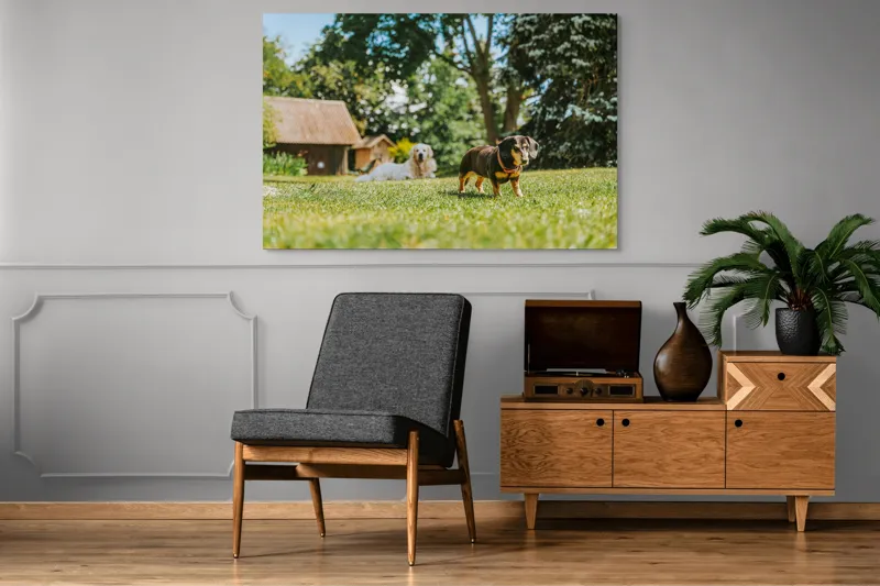 Tablou Canvas, "Câini jucându-se în grădina soarelui", 150 x 100 cm – poza 8