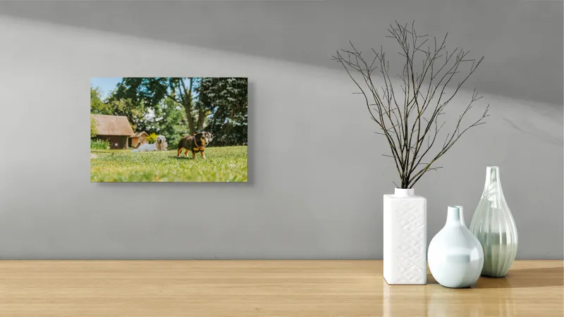 Tablou Canvas, "Câini jucându-se în grădina soarelui", 39 x 26 cm – poza 8