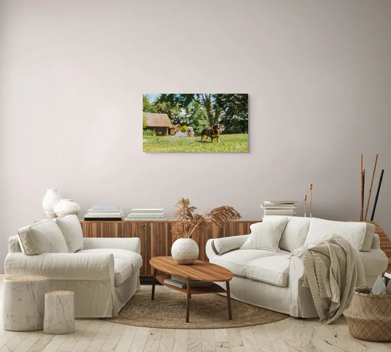 Tablou Canvas, "Câini jucându-se în grădina soarelui", 90 x 50 cm – poza 4