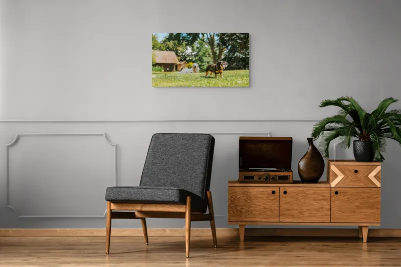 Tablou Canvas, "Câini jucându-se în grădina soarelui", 90 x 50 cm – poza 6