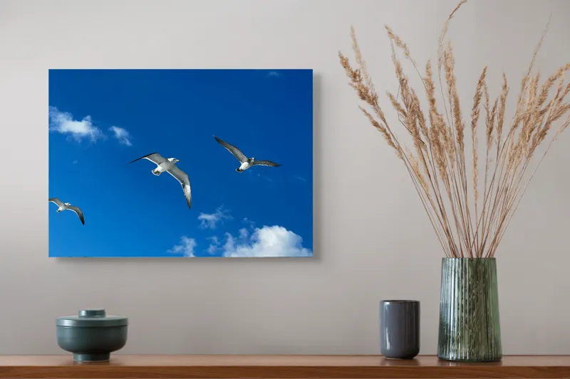 Tablou Canvas, "Zborul pescărușilor sub cerul albastru", Cer, Păsări, Zbor, Nori, Albastru, 54 x 39 cm – poza 4
