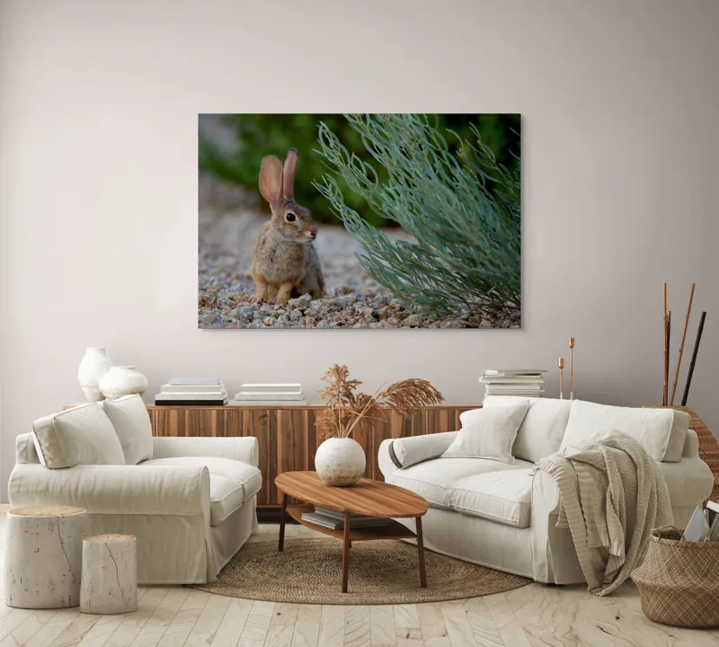 Tablou Canvas, "Iepurașul curios printre ierburi verzi", Iepure, Urechi, Vegetație, Pietriș, Verde, Natură, Calm, Observație, Curiozitate, Blană., 150 x 100 cm – poza 3