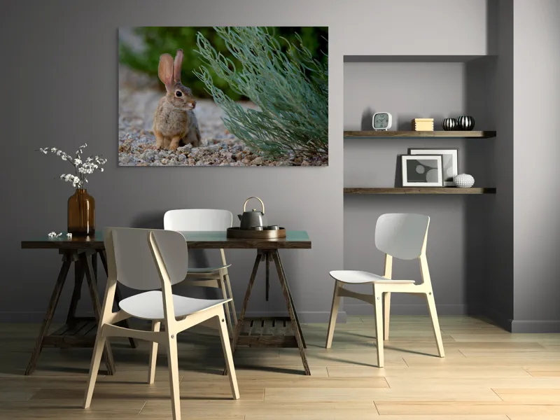 Tablou Canvas, "Iepurașul curios printre ierburi verzi", Iepure, Urechi, Vegetație, Pietriș, Verde, Natură, Calm, Observație, Curiozitate, Blană., 150 x 100 cm – poza 5