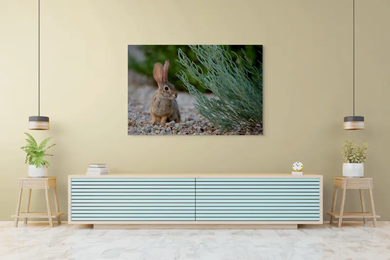 Tablou Canvas, "Iepurașul curios printre ierburi verzi", Iepure, Urechi, Vegetație, Pietriș, Verde, Natură, Calm, Observație, Curiozitate, Blană., 150 x 100 cm – poza 6