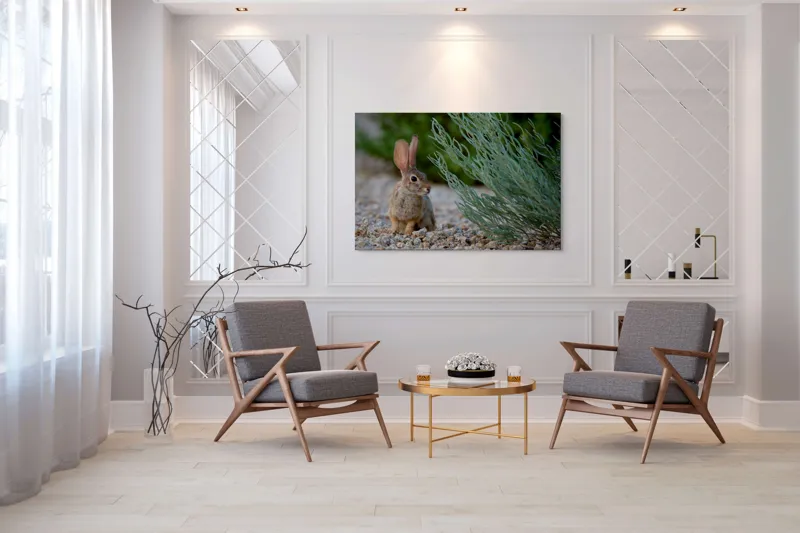 Tablou Canvas, "Iepurașul curios printre ierburi verzi", Iepure, Urechi, Vegetație, Pietriș, Verde, Natură, Calm, Observație, Curiozitate, Blană., 150 x 100 cm – poza 7