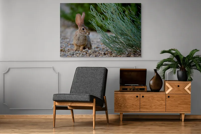 Tablou Canvas, "Iepurașul curios printre ierburi verzi", Iepure, Urechi, Vegetație, Pietriș, Verde, Natură, Calm, Observație, Curiozitate, Blană., 150 x 100 cm – poza 8