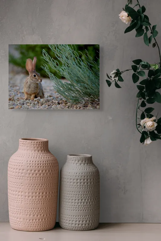 Tablou Canvas, "Iepurașul curios printre ierburi verzi", Iepure, Urechi, Vegetație, Pietriș, Verde, Natură, Calm, Observație, Curiozitate, Blană., 54 x 39 cm – poza 8