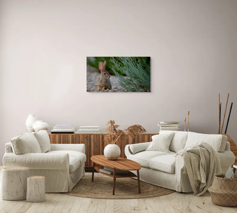 Tablou Canvas, "Iepurașul curios printre ierburi verzi", Iepure, Urechi, Vegetație, Pietriș, Verde, Natură, Calm, Observație, Curiozitate, Blană., 90 x 50 cm – poza 4