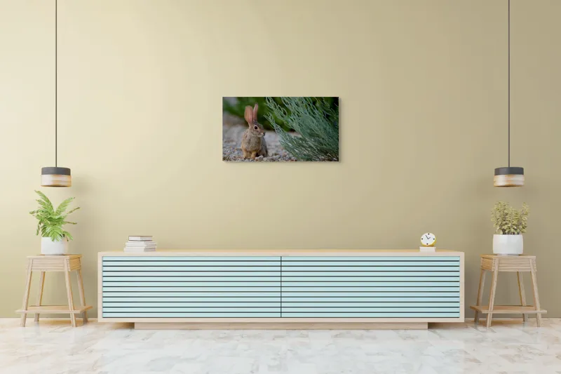 Tablou Canvas, "Iepurașul curios printre ierburi verzi", Iepure, Urechi, Vegetație, Pietriș, Verde, Natură, Calm, Observație, Curiozitate, Blană., 90 x 50 cm – poza 5