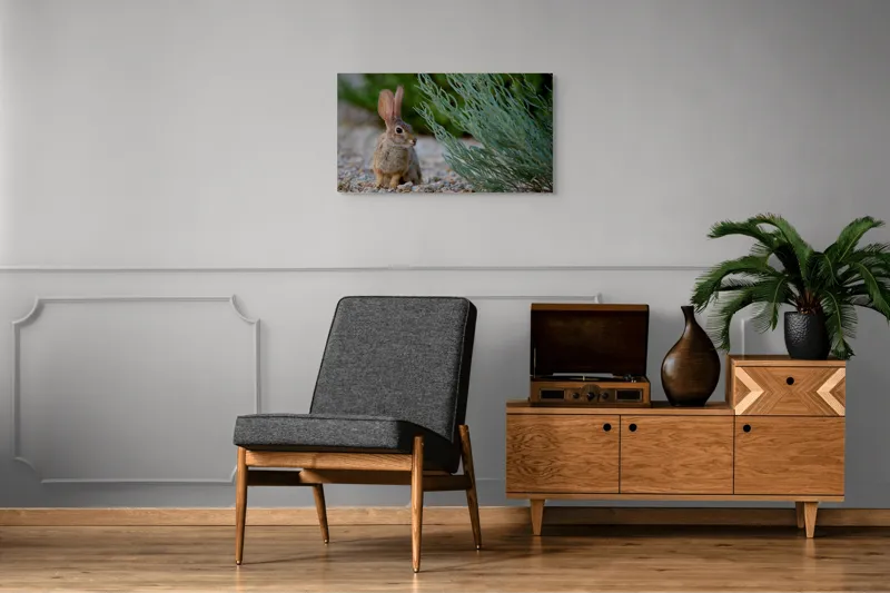 Tablou Canvas, "Iepurașul curios printre ierburi verzi", Iepure, Urechi, Vegetație, Pietriș, Verde, Natură, Calm, Observație, Curiozitate, Blană., 90 x 50 cm – poza 6