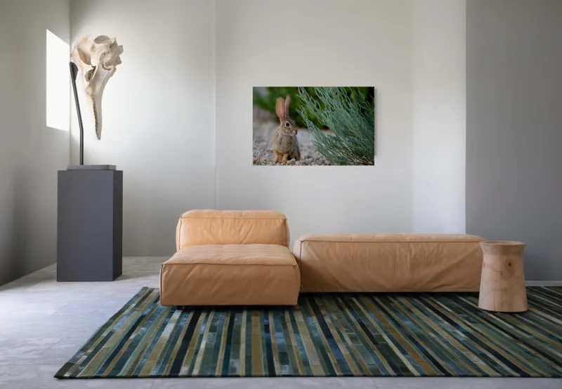 Tablou Canvas, "Iepurașul curios printre ierburi verzi", Iepure, Urechi, Vegetație, Pietriș, Verde, Natură, Calm, Observație, Curiozitate, Blană., 90 x 50 cm – poza 8