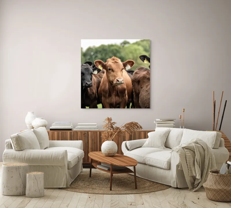 Tablou Canvas, "Întâlnirea vacilor în luminișul pădurii", Nu știu cine sunt., 100 x 100 cm – poza 3